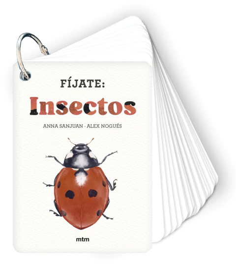 Fíjate: Insectos