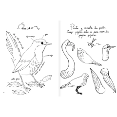 Pintapájaros - tienda online