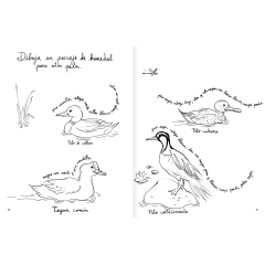 Pintapájaros en internet