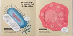 Vida - Librería El gato Neftalí