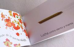 Mi Lápiz en internet