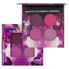 QUARTETO DE SOMBRAS ORQUÍDEA LUDURANA