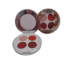 QUARTETO DE SOMBRAS LUDURANA COR 2 - Gii Matos Makeup
