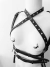 Harness Sagy