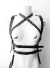 Harness Sagy on internet