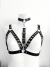 Harness pandora