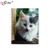 Cuaderno America Gatitos A4 (2701)