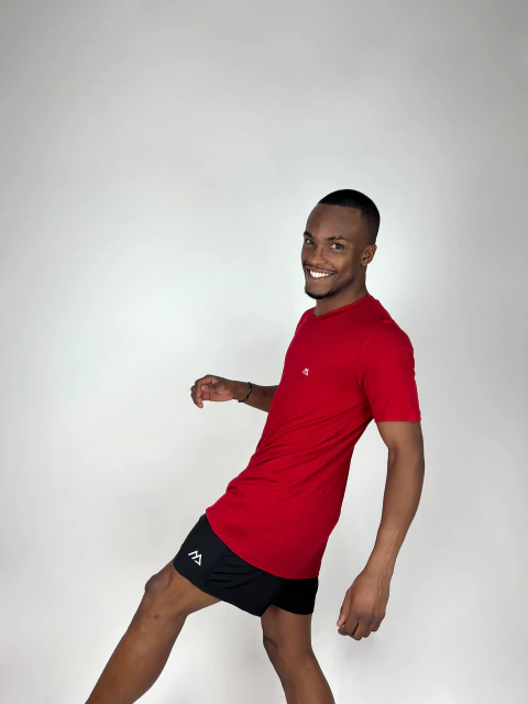 BLUSA WILLIAM III - comprar online