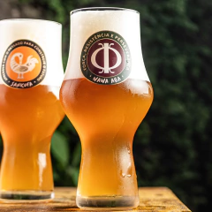 Copo Craft Beer Wawa Aba na internet