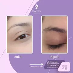 Trio Fio+ - Sobrancelhas e cílios perfeitos em 90 dias (ciclo completo) - comprar online