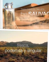 Dior Sauvage Perfume Be By Biogreen Inspirado por las mas bellas creaciones de la perfumería Mundial