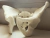 Pelvis 3D en internet