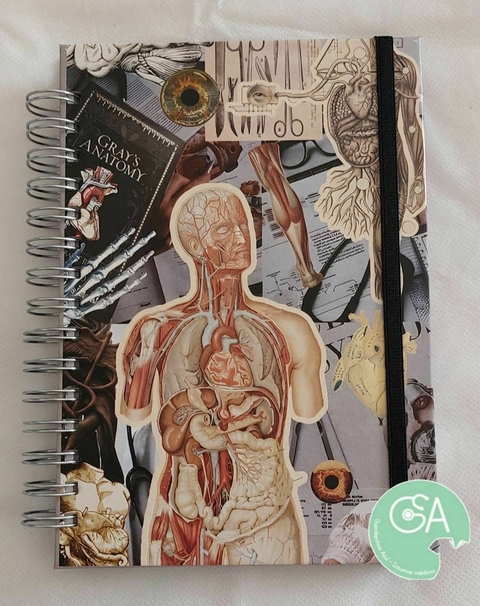 Agenda cuerpo humano - comprar online