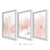 Imagem do Trio de Quadros Decorativos - Flores, Delicadas, Rosa