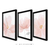Trio de Quadros Decorativos - Flores, Delicadas, Rosa na internet