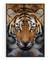 Quadro Decorativo - Tigre, Foco, Visão