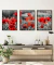 Trio de Quadros Decorativos - Flores Vermelhas, Papoilas