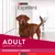 Alimento para Perro Adulto Mediano y Grande Purina Excellent Dog 3Kg - comprar online