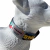 COLLAR GRAFFITI – PETS ROCK - Pet Point