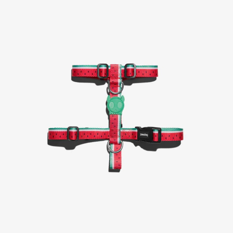 Arnes para perro Lola H Harness Zee Dog