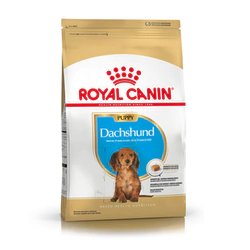 Alimento para perro Dachshund Puppy Royal Canin