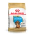 Alimento para perro Dachshund Puppy Royal Canin