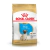 Alimento para perro Pug Puppy Royal Canin