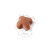 Alimento para perro Jack Russel Adult Royal Canin - comprar online