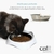 Catit Plato Single Blanco Hagen - tienda online