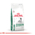 Alimento para perro Diabetic Canine Royal Canin 2k