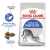 Alimento para Gato Adulto Indoor Royal Canin 1,5k - comprar online