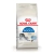 Royal Canin Alimento Seco para Gato Indoor | 7,5 kg