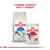 Imagen de Royal Canin Alimento Seco para Gato Indoor | 7,5 kg