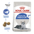 Royal Canin Alimento Seco para Gato Indoor 7+ | 1,5 kg - comprar online