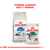 Imagen de Royal Canin Alimento Seco para Gato Indoor 7+ | 1,5 kg