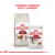 Royal Canin Alimento Seco para Gato Fit | 15 kg - tienda online