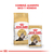 Royal Canin Alimento Seco para Gato Persian Adult | 1,5 kg & 7,5 kg - tienda online