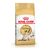 Royal Canin Alimento Seco para Gato Siamese Adult | 1,5 kg & 7,5 kg