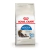 Royal Canin Alimento Seco para Gato Indoor Long Hair | 1,5 kg