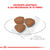 Imagen de Alimento para Perro Mini Puppy Royal Canin 1k & 3k