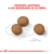 Imagen de Alimento para Perro Maxi Puppy Royal Canin 3k