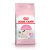 Royal Canin Alimento Seco para Gato Mother & Babycat | 1,5 kg