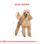 Alimento Para Caniche Adulto Royal Canin 1k & 3k en internet