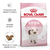 Royal Canin Alimento Seco para Gato Kitten | 7,5 kg - comprar online