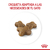 Royal Canin Alimento Seco para Gato Kitten | 7,5 kg - Pet Point