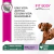 Eukanuba Alimento para Perro Fit Body weight control Small Breed | 1 kg & 3 kg en internet