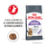 Royal Canin Alimento Seco para Gato Appetite Control | 1.5 Kg & 3 Kg - comprar online