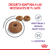 Royal Canin Alimento Seco para Gato Appetite Control | 1.5 Kg & 3 Kg - tienda online