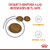 Royal Canin Alimento Seco para Gato Hair & Skin Care | 2 kg - tienda online