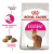 Royal Canin Alimento Seco para Gato Exigent | 1,5 kg - comprar online